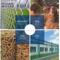 Hexagonal wire mesh netting